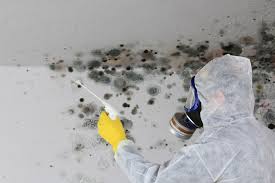 Best Air Quality Testing for Mold Spores  in Liberty, NC